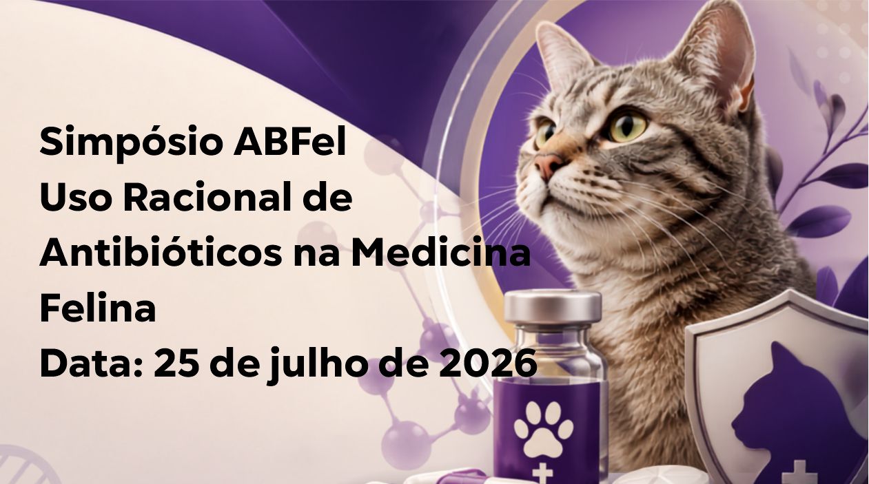 ABFEL -  Academia Brasileira de Clínicos de Felinos