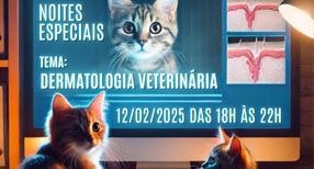 ABFEL -  Academia Brasileira de Clínicos de Felinos
